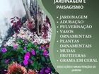 Jardineiro, paisagismo, jardinagem, plantas, grama, vasos e adubos
