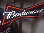 Letreiro luminoso Budweiser 55cm novo led