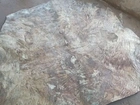 Couro de boi