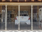 Portão de ferro com detalhes em metal