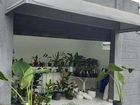 Flores a apatir de 8 reais, ótima opção pra que desejar Revender!