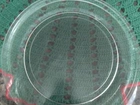 Prato para micro-ondas