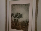 Quadro com Gravura Original número 30/100 de Paisagem