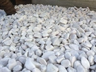 Seixo Rio branco pedras branca para jardins e paisagismo 15 kg *