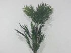Planta artificial