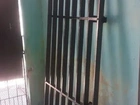 Portão Metalom