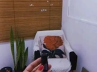 Vendo - Cortina de bambu