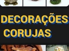 Decorações diversas corujas
