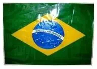 Copa do Mundo Plástico