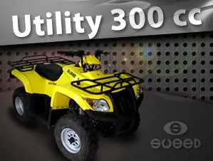 Quadriciclo Sueed Utility 300