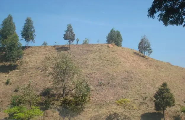 LIMPEZA, CONSERVAÇÃO E ROÇAGEM DE ÁREAS VERDES