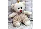 Urso para nicho tamanho P