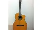 Takamine nylon GC1ce