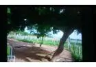 Sitio em pai pedro mg
