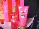 Seja uma revendedora de Victoria's Secret