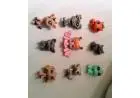 Littlest pet shop importados - R8 cada ou 8 unidades por R55
