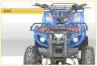 Quadriciclo 110cc Little Bull