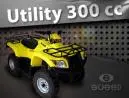 Quadriciclo Sueed Utility 300